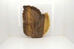 اردوخوری طرح برگ چنار