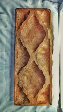 اردوخوری زمین نما